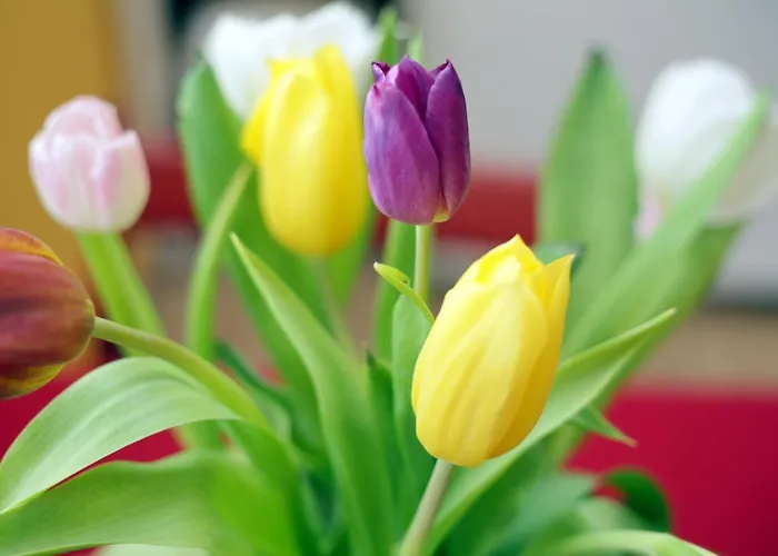 Life & Energy Appartamento